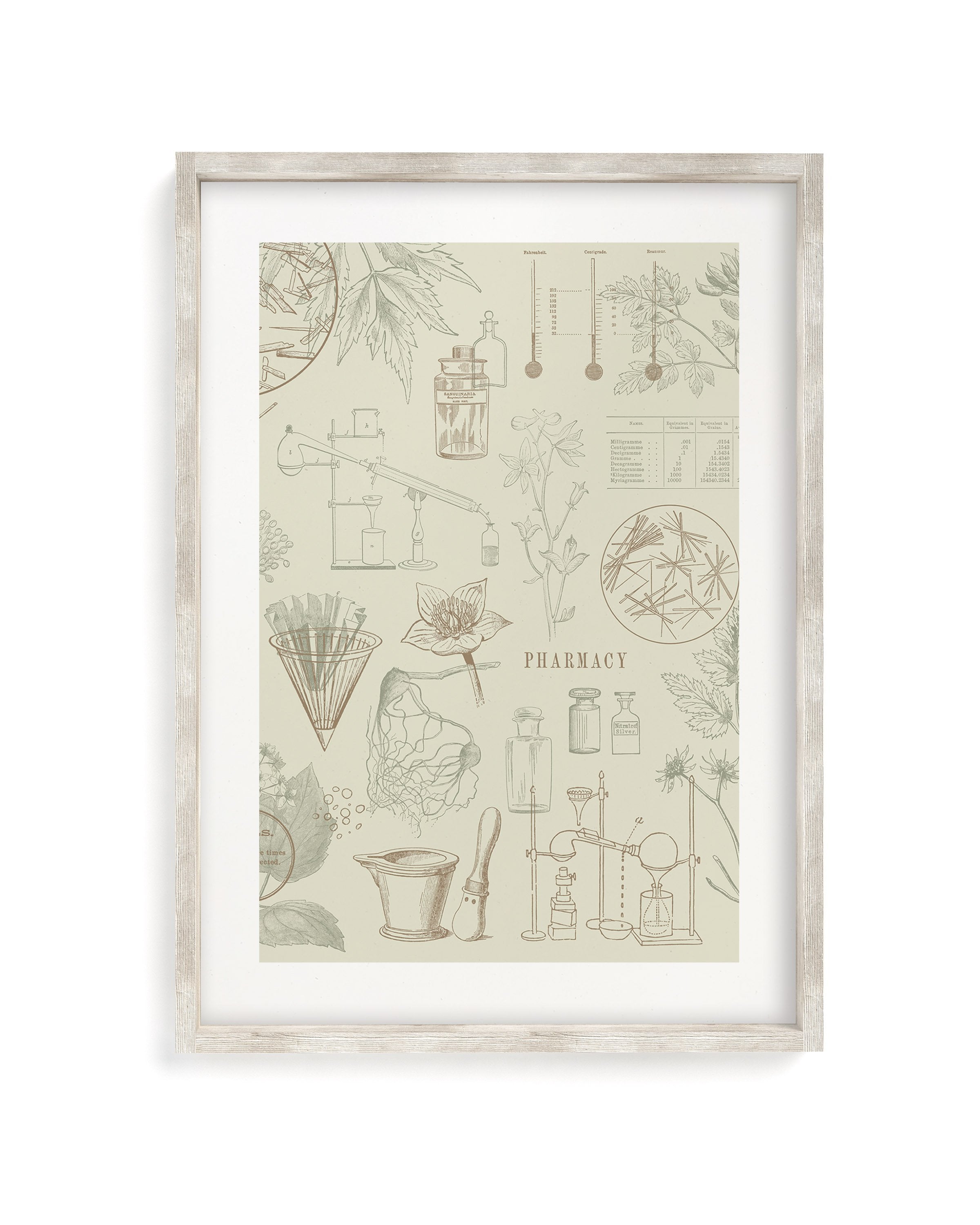 Pharmacy Museum Print