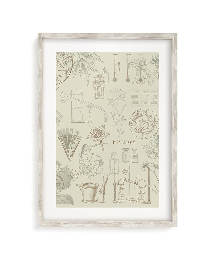 Pharmacy Museum Print
