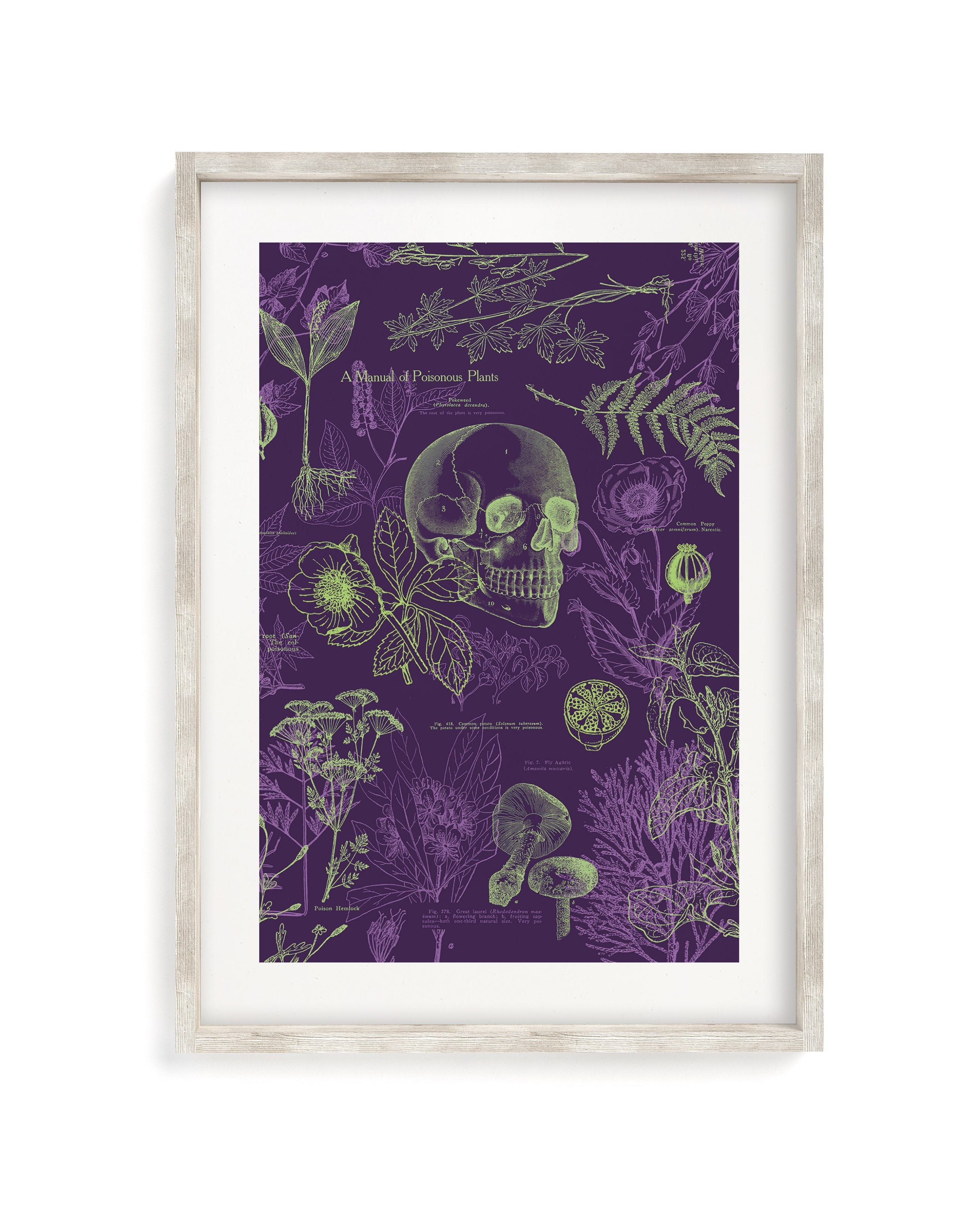 Poisonous Plants Museum Print