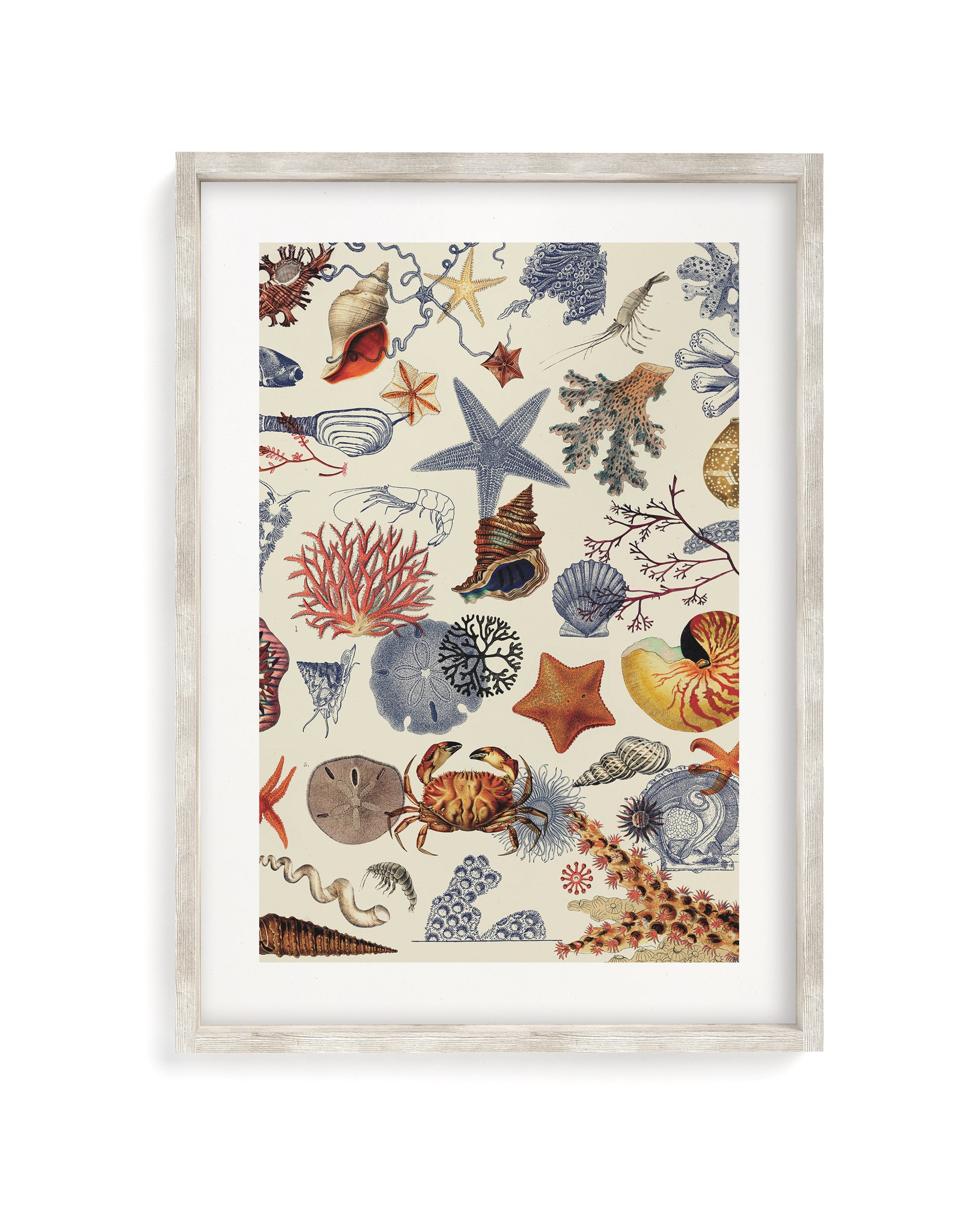Shallow Seas Museum Print