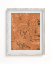 Ants Museum Print