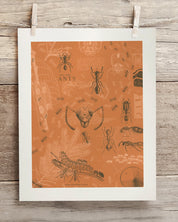Ants Museum Print