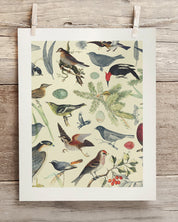 Birds Museum Print