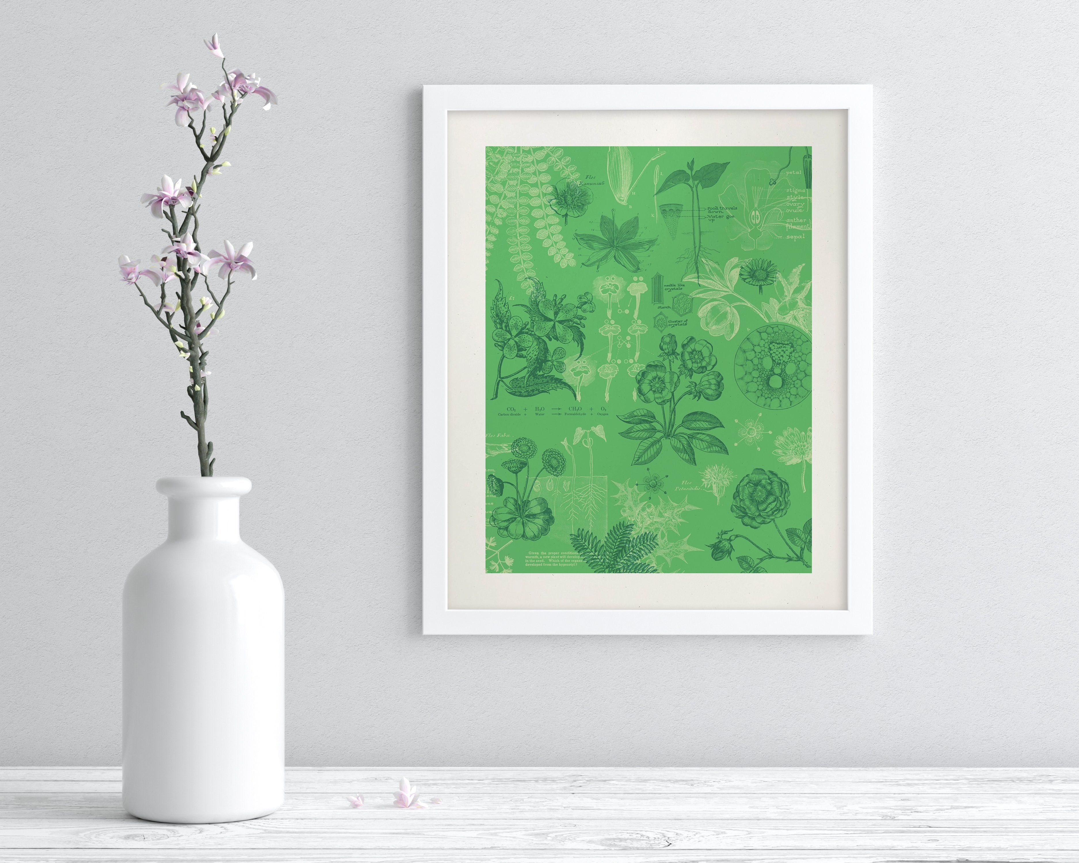 Botany Museum Print