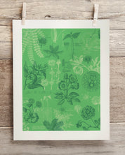 Botany Museum Print