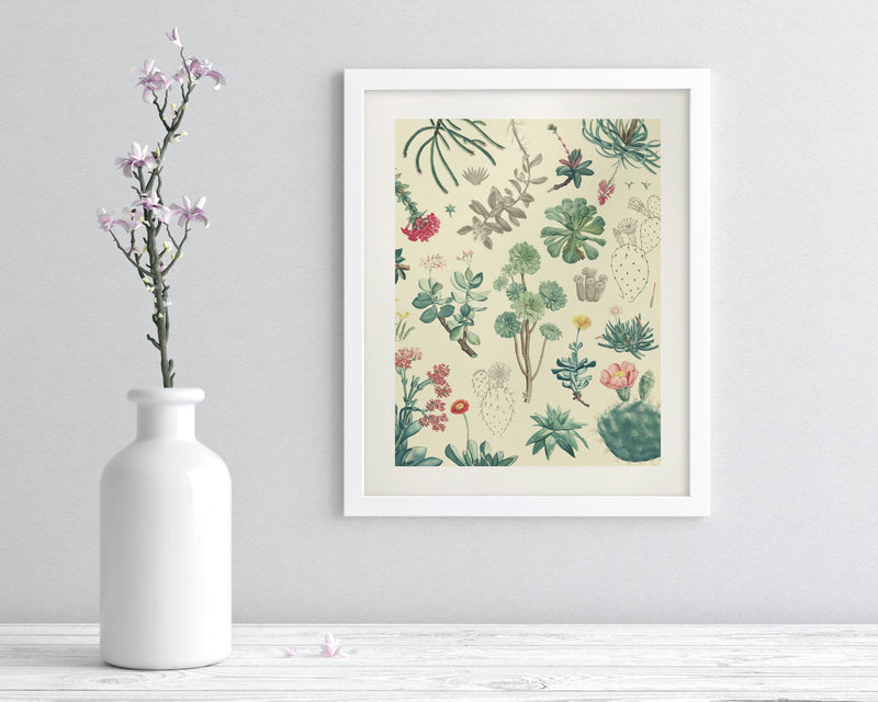 Cactus Museum Print