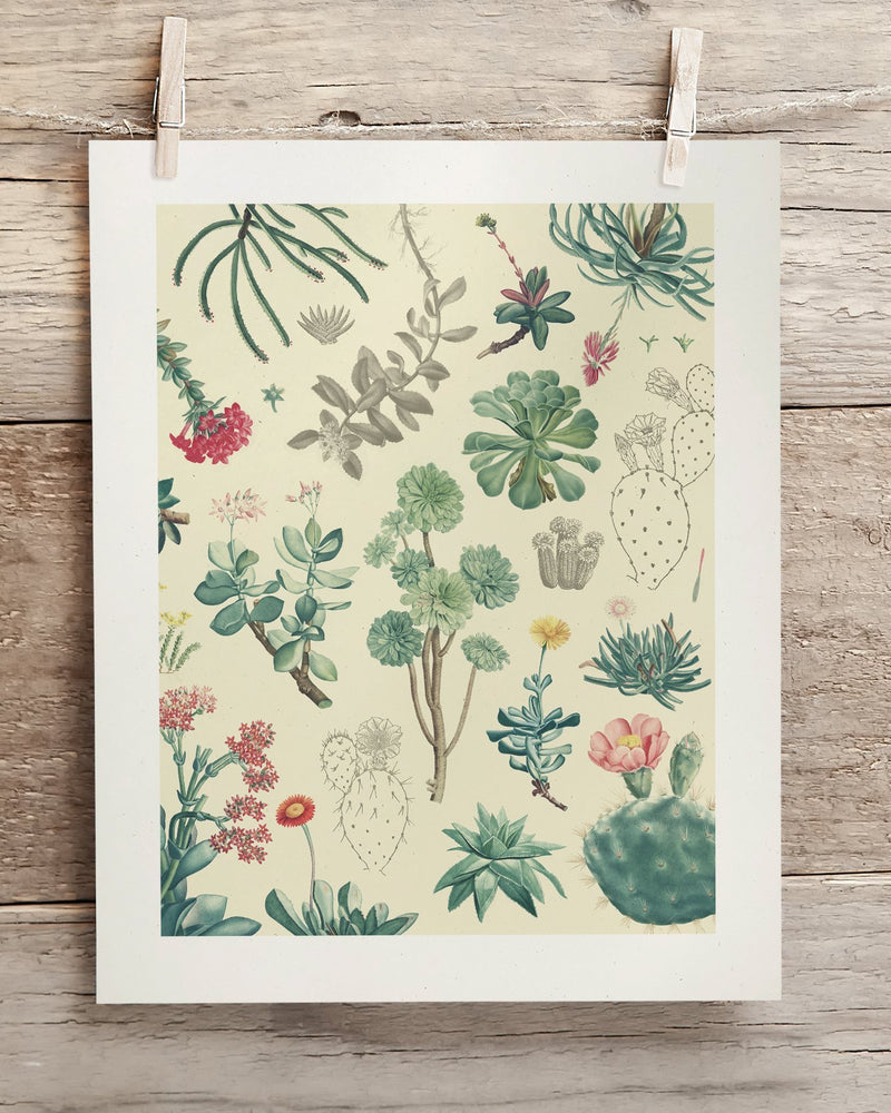 Cactus Museum Print