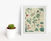 Cactus Museum Print