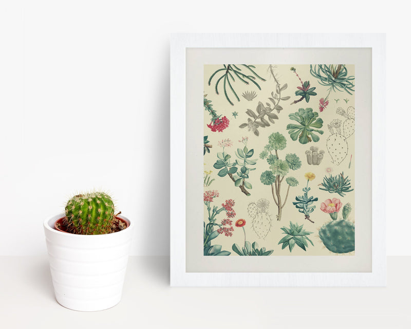 Cactus Museum Print