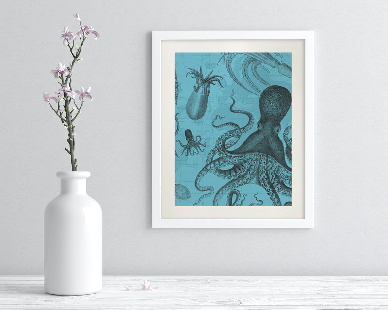Octopus & Squid Museum Print