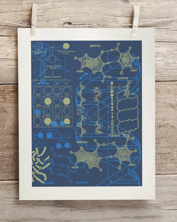 Genetics: DNA Museum Print