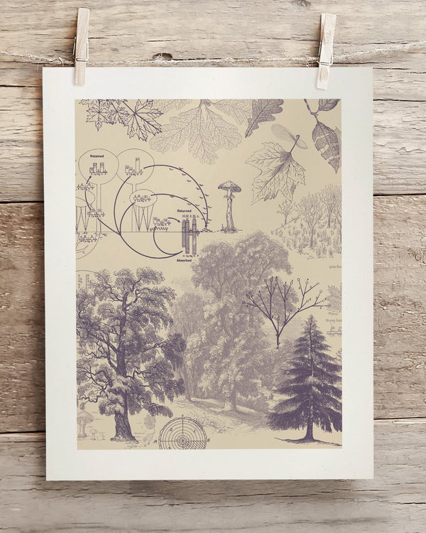 Forest Nutrients Museum Print