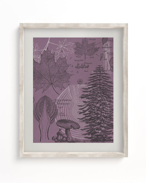 Forest at Dusk Museum Print