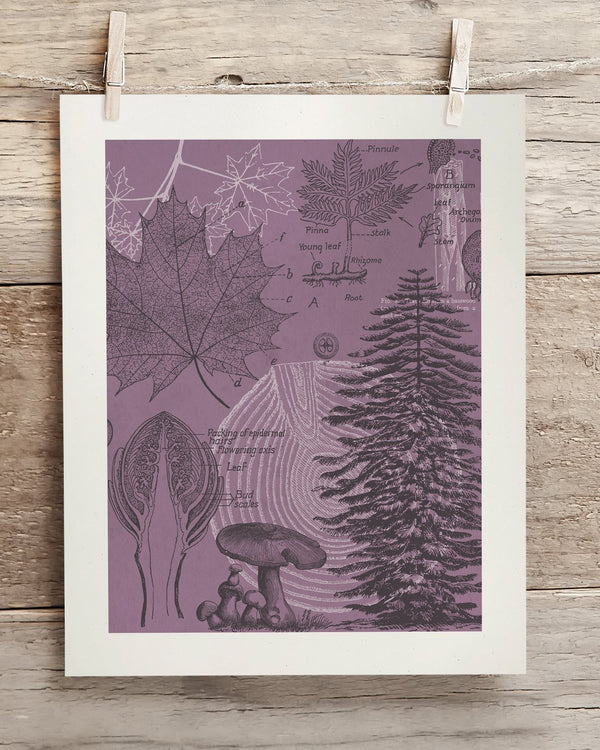 Forest at Dusk Museum Print