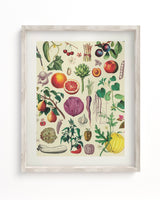Fruit & Vegetables Museum Print