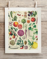 Fruit & Vegetables Museum Print