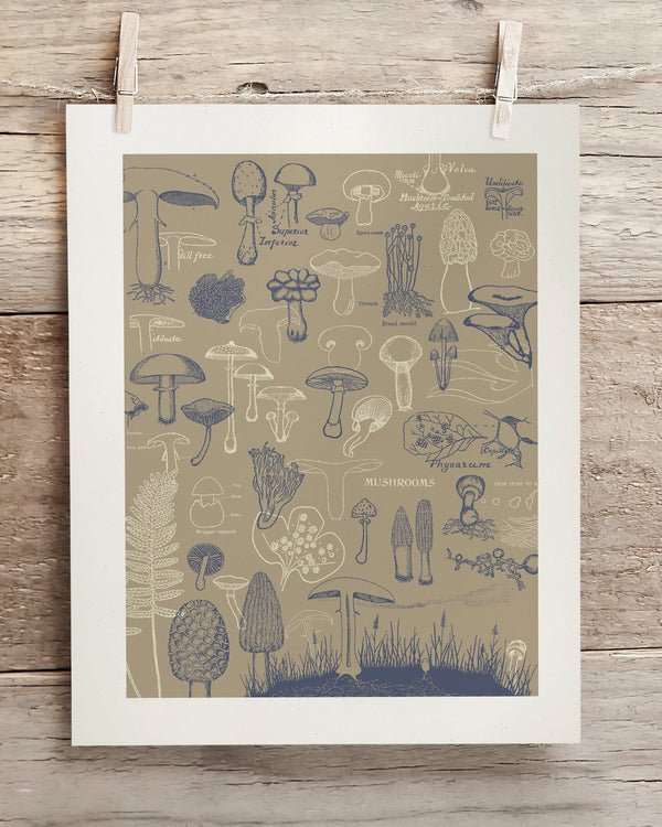 Mushrooms Museum Print