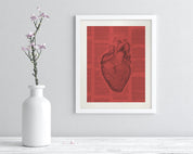 Anatomical Heart Museum Print