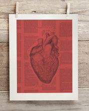 Anatomical Heart Museum Print