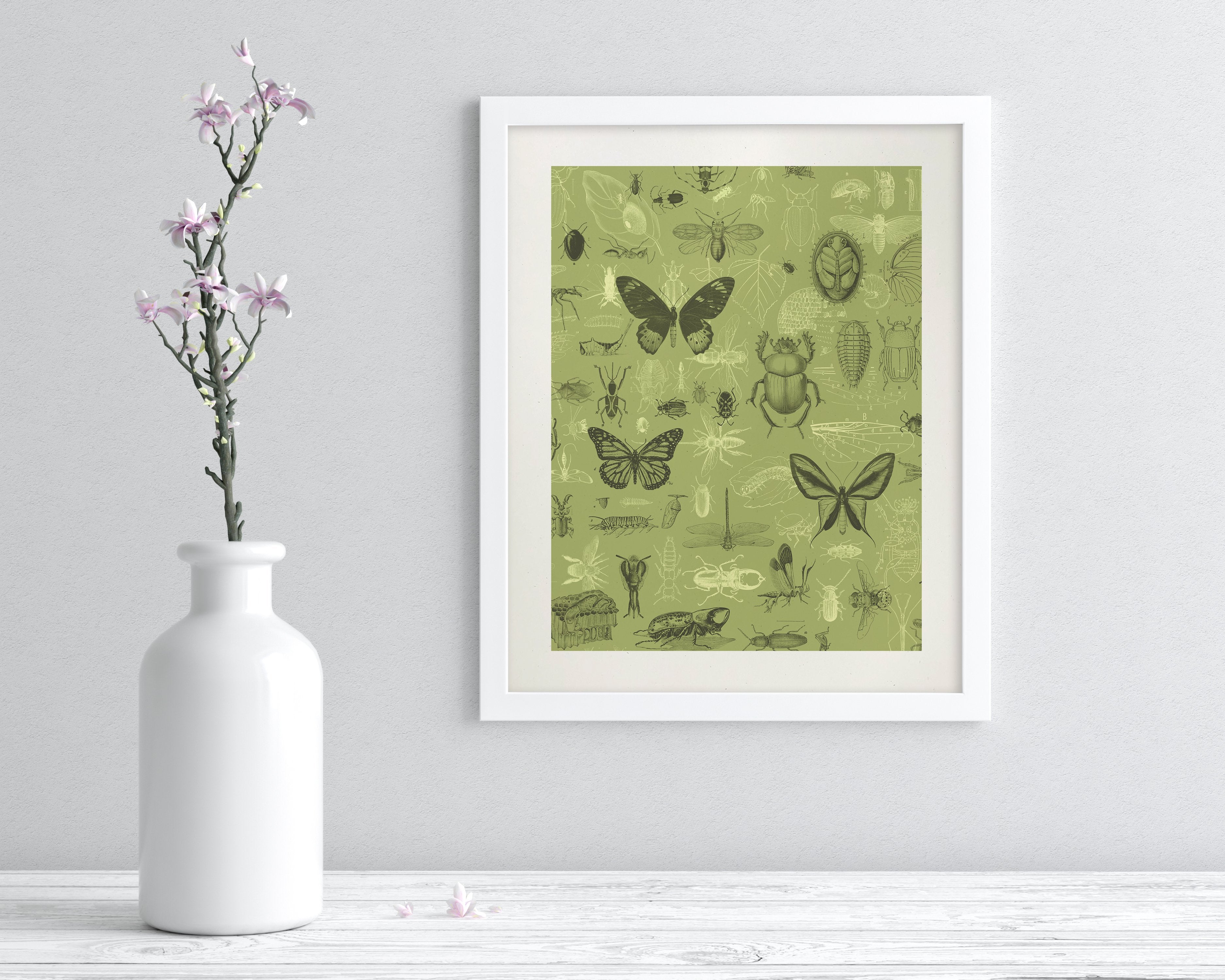 Insect Museum Print