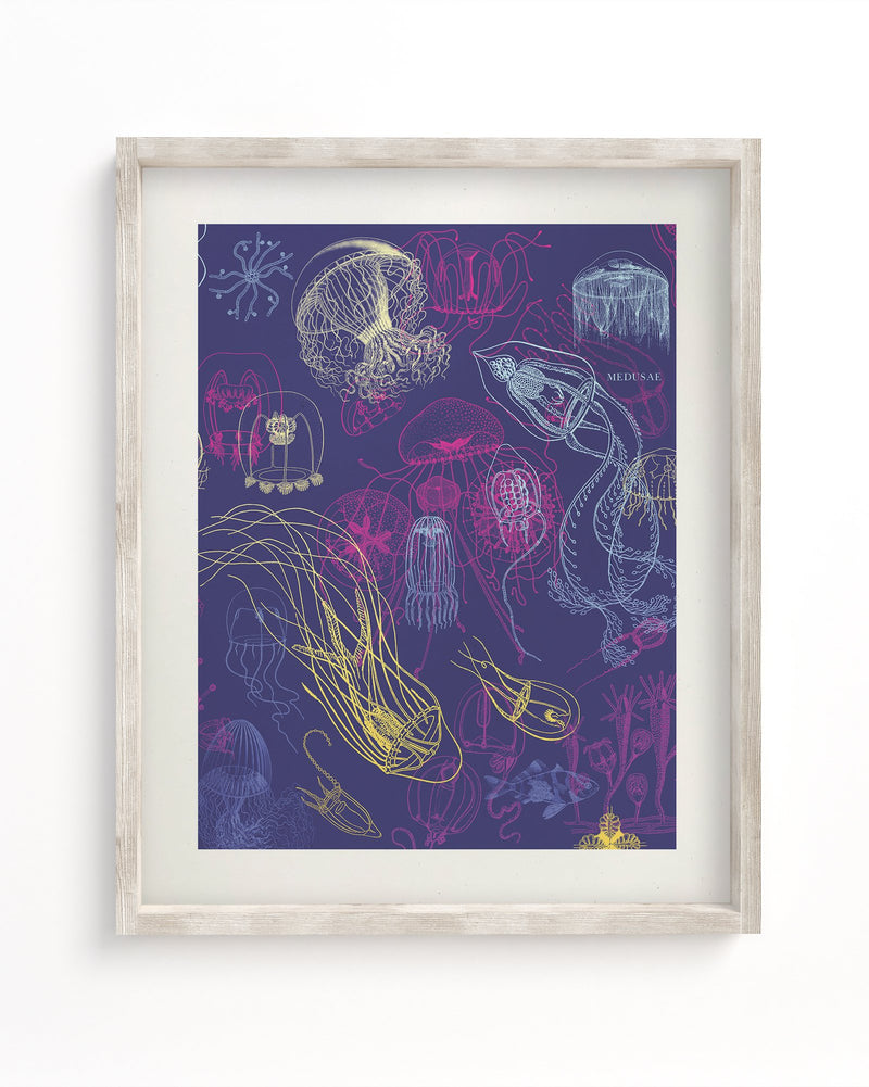 Jellyfish Museum Print