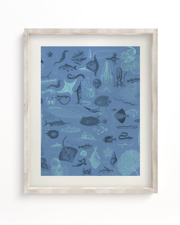 Marine Biology Museum Print