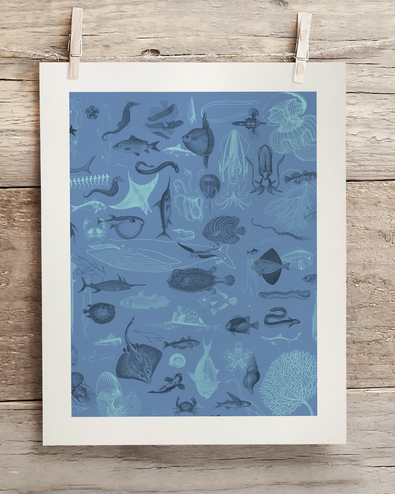 Marine Biology Museum Print