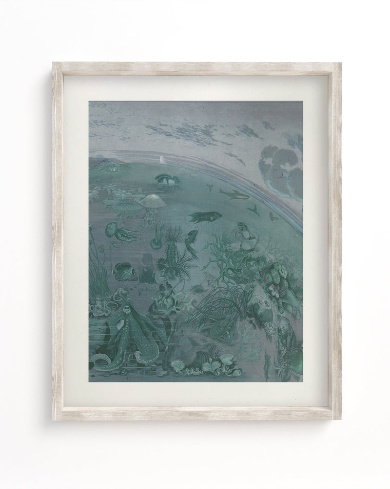 Ocean Planet Museum Print