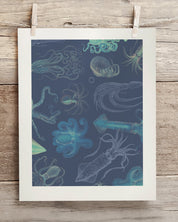 Cephalopods Museum Print