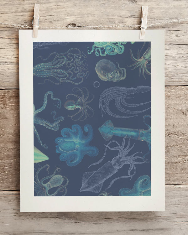 Cephalopods Museum Print