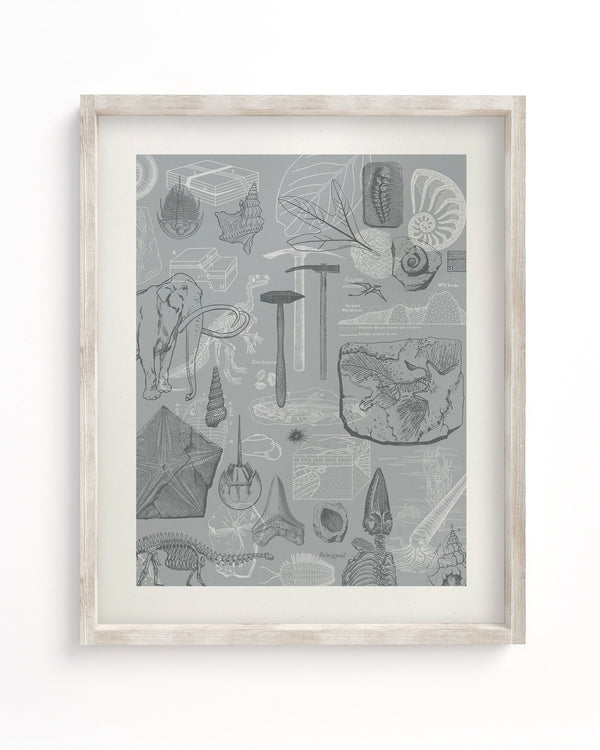 Paleontology Museum Print