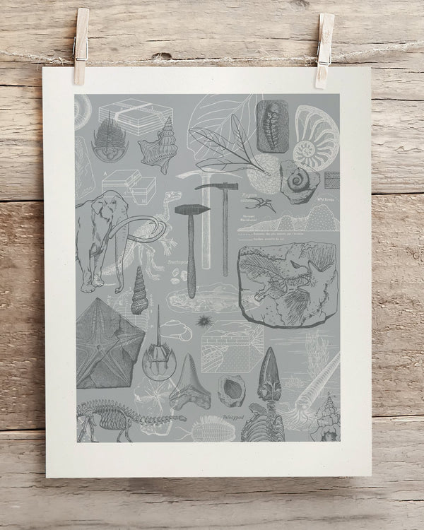 Paleontology Museum Print