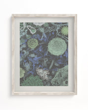 Infectious Disease Museum Print