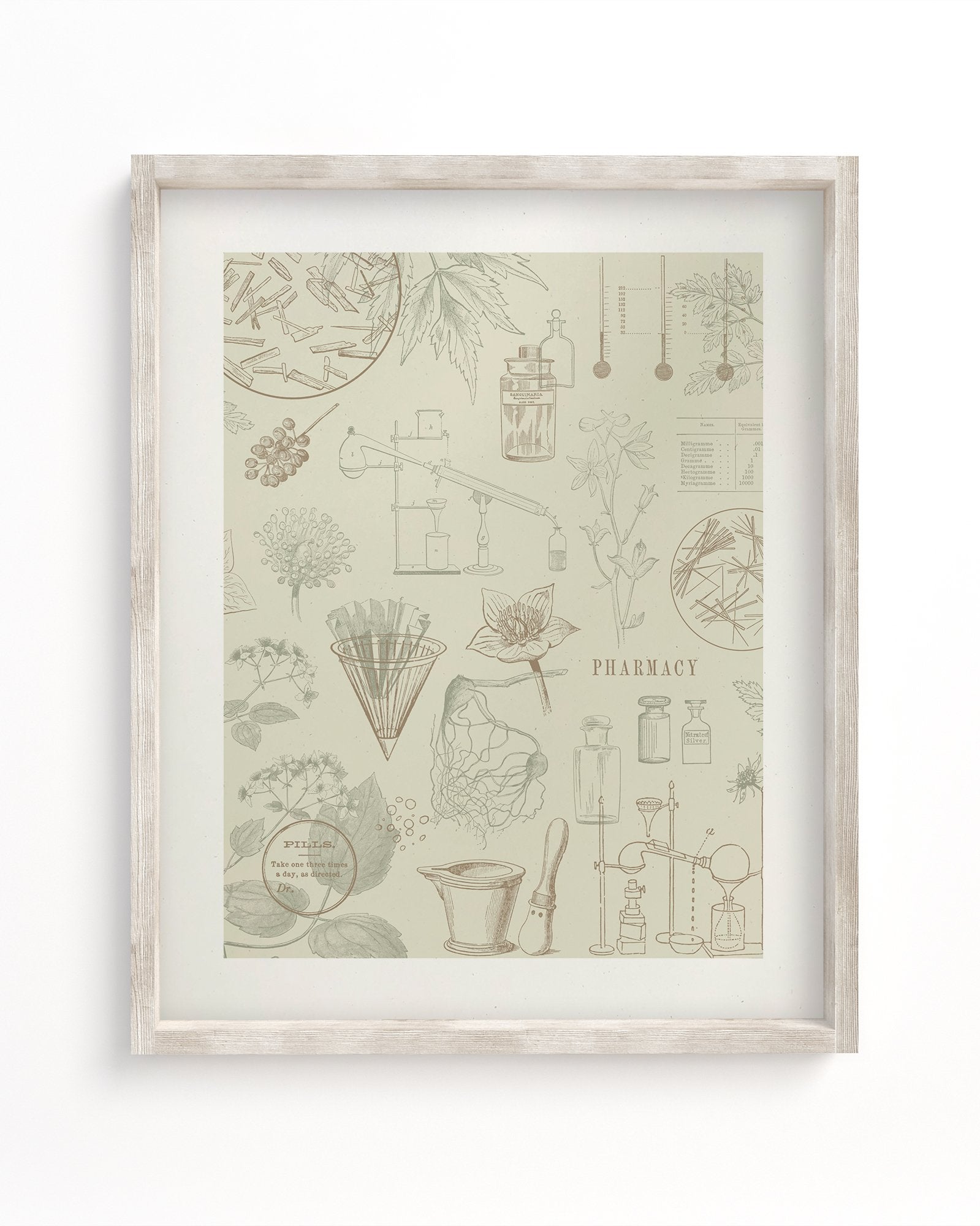 Pharmacy Museum Print
