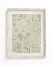 Pharmacy Museum Print