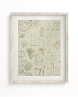 Pharmacy Museum Print