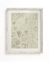 Pharmacy Museum Print