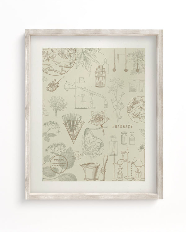 Pharmacy Museum Print
