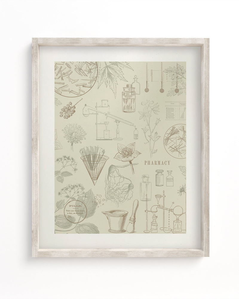 Pharmacy Museum Print