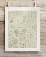 Pharmacy Museum Print