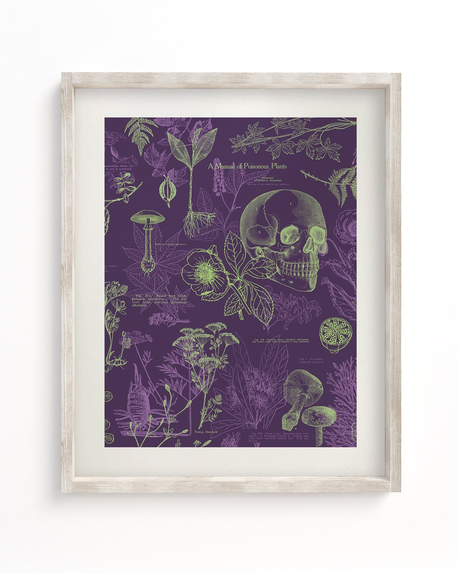 Poisonous Plants Museum Print