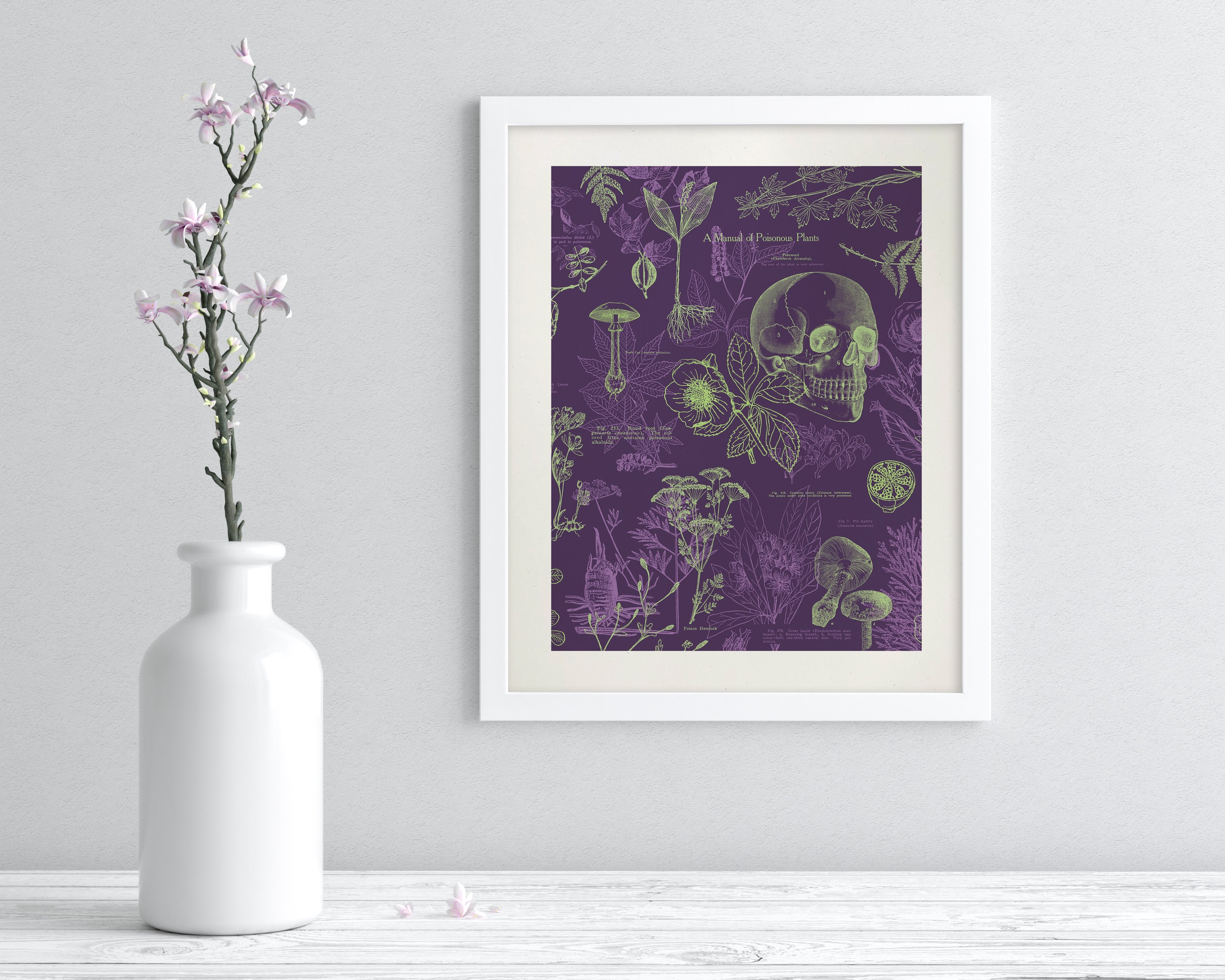 Poisonous Plants Museum Print