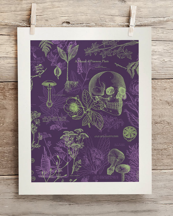 Poisonous Plants Museum Print
