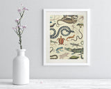 Serpents: Reptiles & Amphibians Museum Print