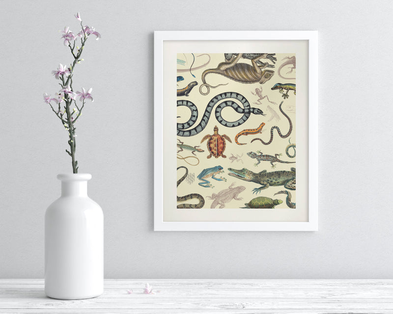 Serpents: Reptiles & Amphibians Museum Print