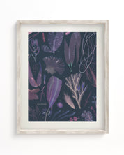 Seaweed Museum Print