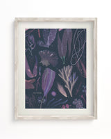 Seaweed Museum Print