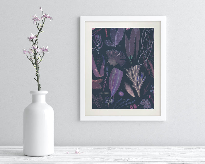 Seaweed Museum Print