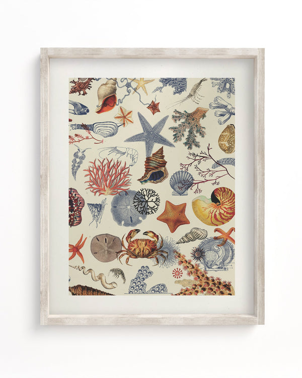 Shallow Seas Museum Print