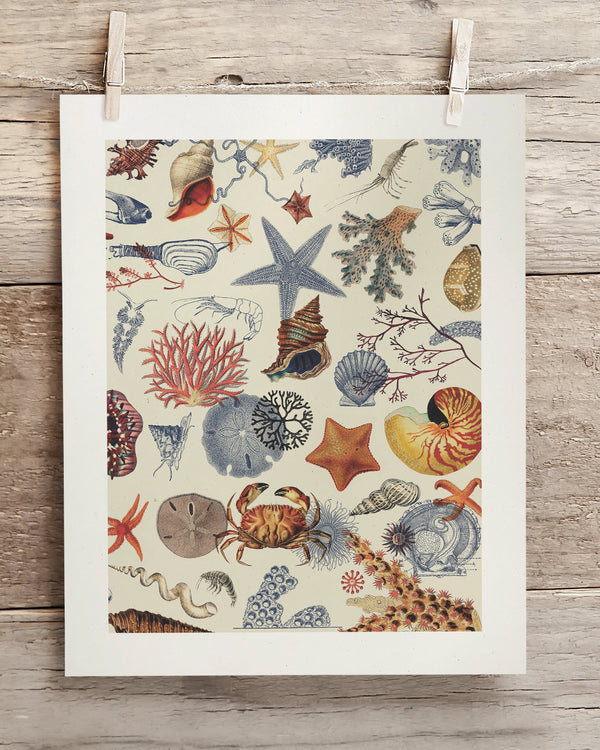 Shallow Seas Museum Print